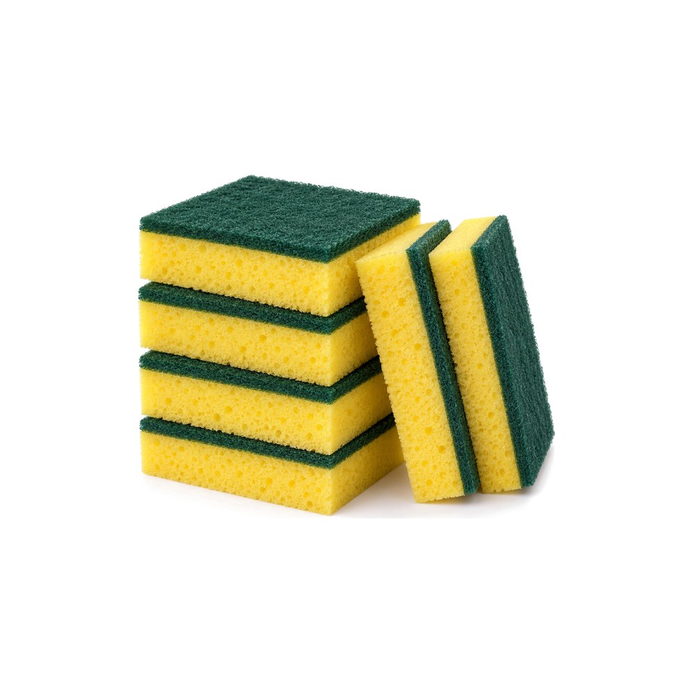 Sponges